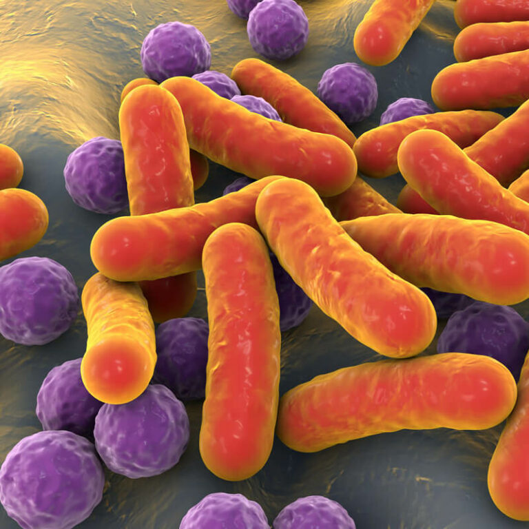 epivyziva-cz-zahady-strevniho-mikrobiomu-cesta-k-fungujici-imunite-03102022