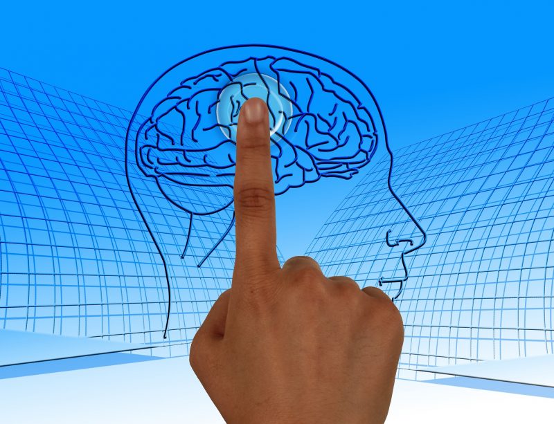 brain-770044_1920
