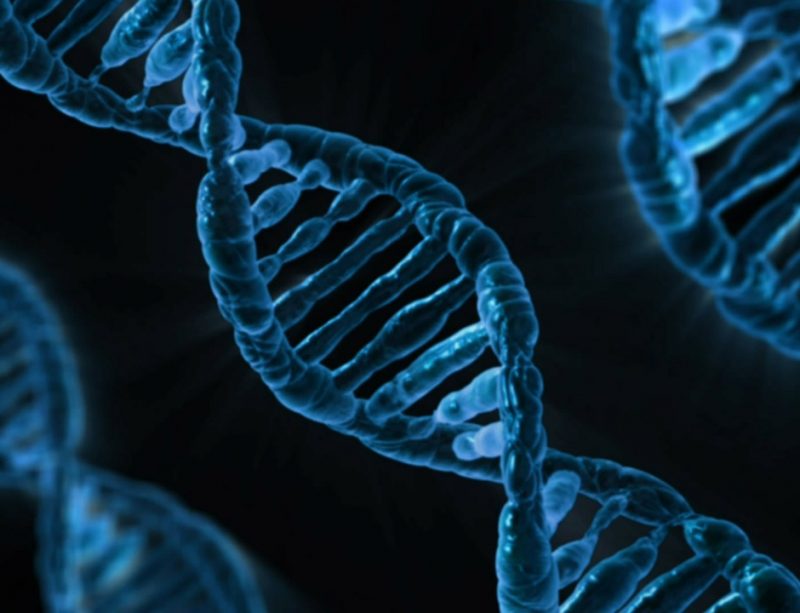dna-163466_1280
