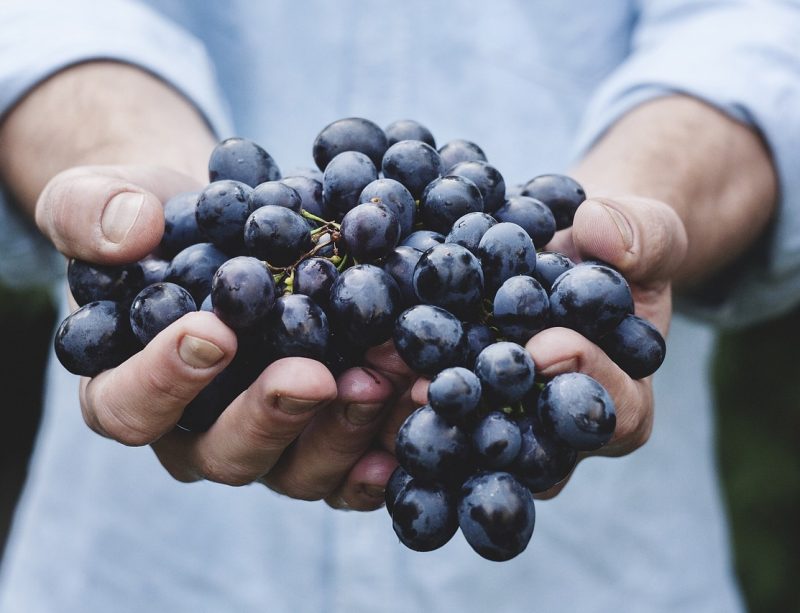 grapes-690230_1280
